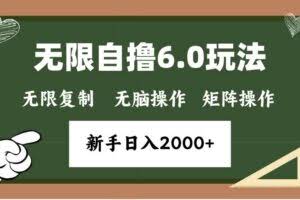 （13624期）年底无限撸6.0新玩法，单机一小时18块，无脑批量操作日入2000+