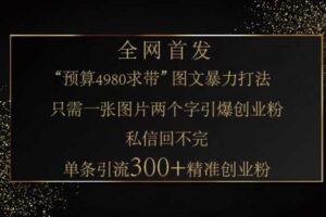 小红书神奇图片引流法，只需一张图，就能单条笔记凭借此方法，轻松引流 300 + 精准创业粉