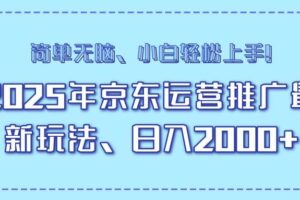 （14179期）25年京东运营推广最新玩法，日入2000+，小白轻松上手！