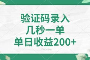 （14221期）验证码录入，几秒一单，单日收益200+