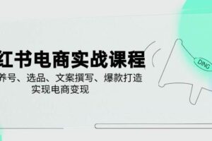 小红书电商实战课程，详解养号、选品、文案撰写、爆款打造，实现电商变现
