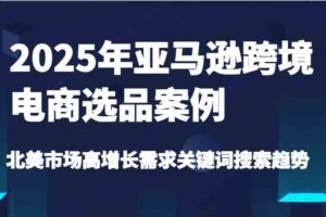 2025年亚马逊跨境电商选品案例-北美市场高增长需求关键词搜索趋势（更新)