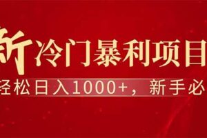 （14495期）全新项目，每天被动收益1000+，长期管道收益！