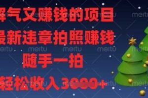 解气又挣钱的项目，最新违章拍照挣钱，随手一拍，轻松收入数张【揭秘】