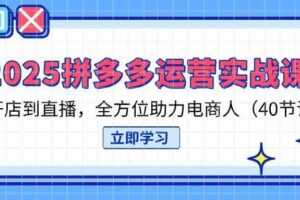 2025拼多多运营实战课，从开店到直播，全方位助力电商人（40节课）