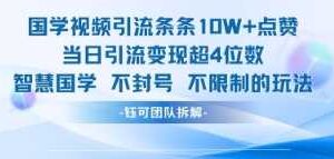 国学视频引流条条10W+点赞当日引流变现超4位数