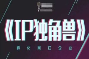 IP独角兽，孵化网红企业，ip教程