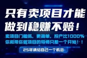 只有卖项目才能做到稳挣不赔，门槛低，更简单，你也可以年入百个W【揭秘】
