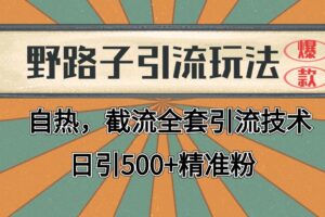 2024首发野路子引流玩法截流自热全平台打法，全自动引流【日引2000+精准客户】