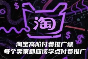 淘宝高阶付费推广课，每个卖家都应该学点付费推广