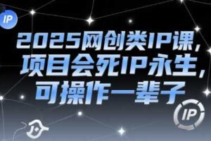 2025网创类IP课，项目会死IP永生，可操作一辈子