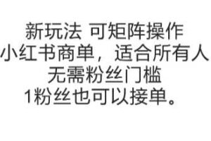 可矩阵操作，小红书商单新玩法，适合所有人，无需粉丝门槛，1粉丝也可以接单