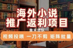 海外小说推广返利项目，视频投喂， 一刀不剪，矩阵批量