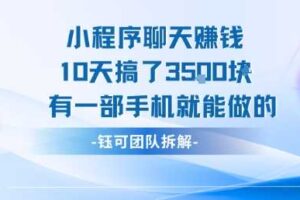 小程序聊天挣钱10天搞了3.5k，有一部手机就能做的