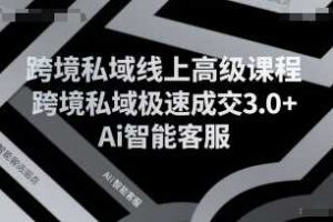 跨境私域线上高级课程，跨境私域极速成交3.0+Ai智能客服