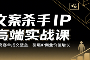 文案杀手IP高端实战课：破高客单成交壁垒，引爆IP商业价值增长