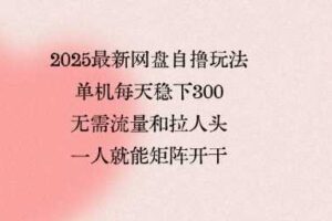 2025最新网盘自撸玩法，单机每天稳下3张，无需流量和拉人头，一个人就可轻松矩阵，全网独一份【揭秘】