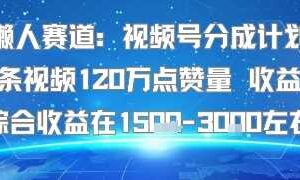 懒人赛道：视频号分成计划单条视频120W点赞量 收益高综合收益在1.5K左右
