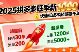 2025拼多多旺季新老店铺——快速低成本起量破千单