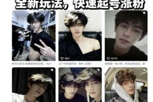 AI男颜涨粉短视频教学，全新玩法，快速起号涨粉