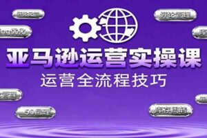 亚马逊运营实操课，选品策略，选品重点、广告最新打法、大促细节优化等（更新10月）