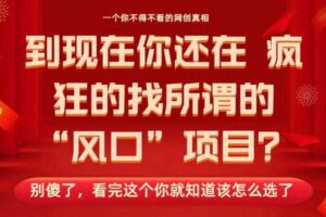 马上26年了，你还在找所谓的风口项目？别傻了，看完这个你全都懂了！【揭秘】