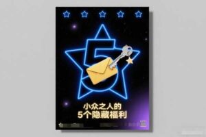 付费文章：小众之人的5个隐藏福利