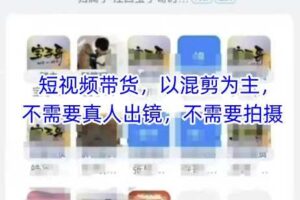 宝子哥头部团队短视频带货，以混剪为主，不需要真人出镜，不需要拍摄【更新26年1月】