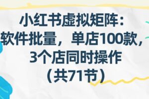 小红书虚拟矩阵：软件批量发笔记，单店100款，3个店同时操作（共71节）