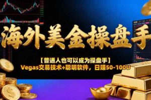 (17658期)海外美金操盘手技术【普通人操盘手手册】Vegas交易技术+聪明软件,日赚50-100U