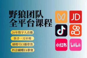 野狼团队2026新版全平台短视频带货教学,打开流量突破口,开始Ai带货(更新26年3月20日)