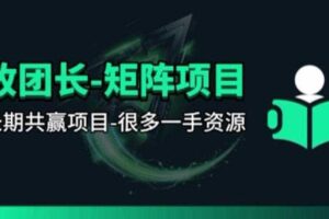 【团长合作】视频矩阵项目_招发手矩阵+剪辑师，共赢项目【揭秘】