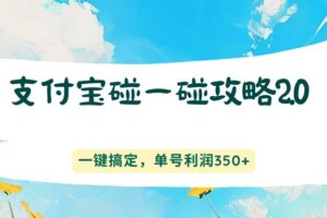 支付宝碰一碰攻略2.0,一键搞定,单号利润350+