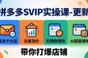 （17912期）拼多多SVIP实操课-26年4月，截流卡大促+无痕涨价+无限群爆款+AI赋能爆单新玩法，带你打爆店铺
