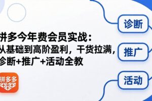 (18467期)拼多多年费会员实战(更新26年5月15):从基础到高阶盈利,干货拉满,诊断+推广+活动全教