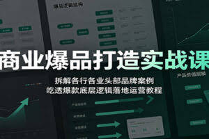 商业爆品打造实战课：拆解各行各业头部品牌案例，吃透爆款底层逻辑落地运营教程