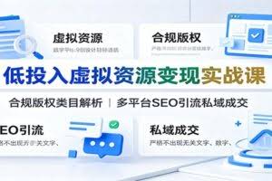 低投入虚拟资源变现实战课：合规版权类目解析，多平台SEO引流私域成交