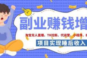 2026年多个真实落地副业项目，手把手带你搭建被动收入管道（淘宝无人直播、海外TK拉新、CSGO饰品交易、去水印小程序等）【揭秘】