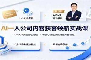 AI一人公司内容获客领航实战课：个人IP商业定位搭建，专属Skill生产线批量产出教程