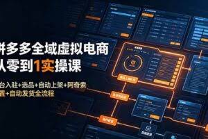 （19139期）拼多多全域虚拟电商从零到1实操课：平台入驻+选品+自动上架+阿奇索配置+自动发货全流程