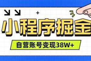 （19315期）微信小程序掘金，团队自营小程序累计变现38W+，稳定运营三年，一部手机即可操作