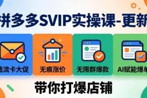 （19626期）拼多多SVIP实操课-26年7月，截流卡大促+无痕涨价+无限群爆款+AI赋能爆单新玩法，带你打爆店铺
