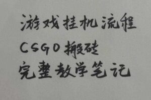 游戏挂G全流程笔记分享，CSGO游戏搬砖，小白看了当天学会见收益【揭秘】