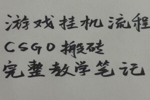 游戏挂机全流程笔记分享，CSGO游戏搬砖，小白看了当天学会见收益