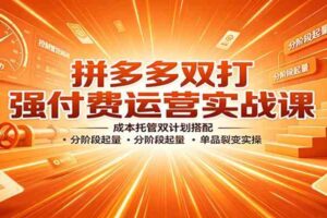 拼多多双打强付费运营实战课：成本托管双计划搭配，分阶段起量，单品裂变实操