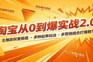 淘宝从0到爆实战2.0：主推款权重搭建，多种起单玩法，多营销组合打爆教学