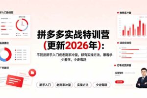 （19724期）拼多多实战特训营(更新2026年)：不管是新手入门或老商家冲量，都有实操方法，跟着学，少走弯路