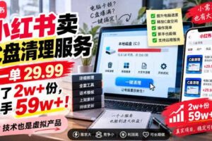 小红书卖C盘清理服务，一单29.99，卖了2w+份，技术也是虚拟产品