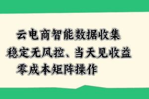 云电商智能数据收集，稳定无风控，当天做当天见收益，零成本矩阵操作【揭秘】