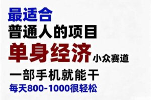 身经济小众赛道，一部手机就能干，每天搞个800-1000很轻松，最适合普通人的项目【揭秘】